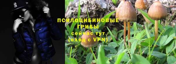 прущая мука Арсеньев