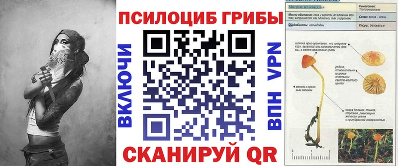 Купить закладки  Озёры  Галлюциногенные грибы MAGIC MUSHROOMS 